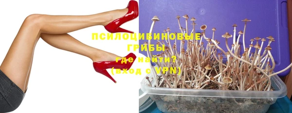 эйфоретик Баксан