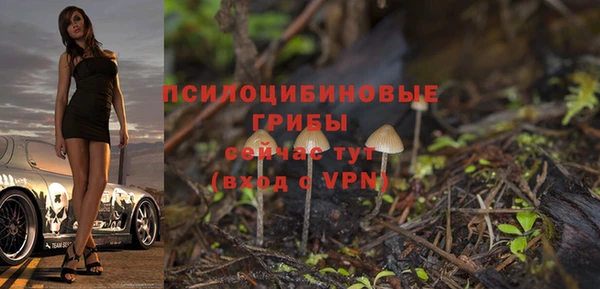 эйфоретик Баксан