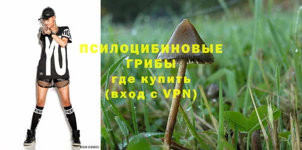 эйфоретик Баксан