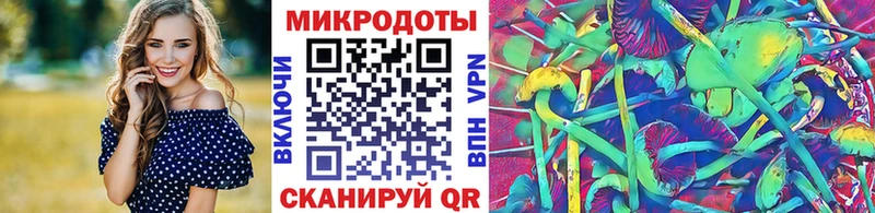 купить  сайты  Купино  Псилоцибиновые грибы GOLDEN TEACHER 